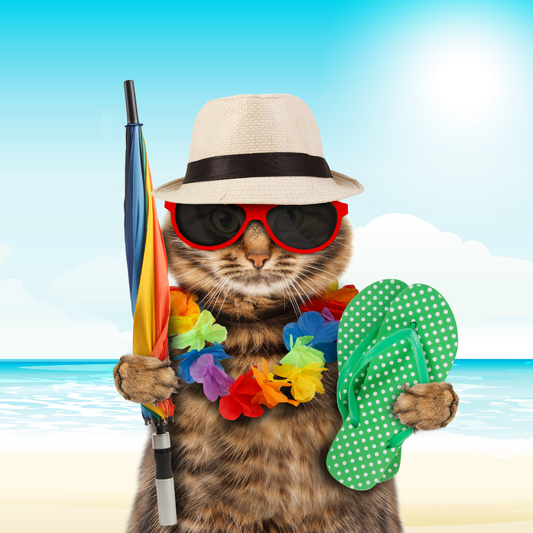 Unleashing Fun in the UK's Top Cat-Friendly Destinations