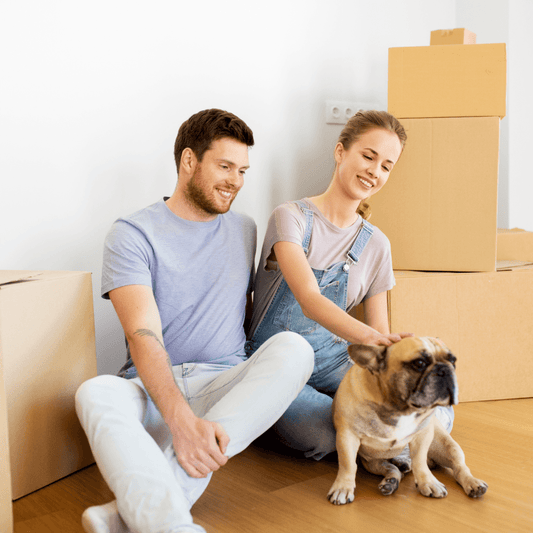 Moving House With a Dog - Get Set Pet