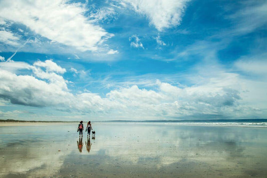 Top 10 UK Dog Friendly Beaches - Get Set Pet