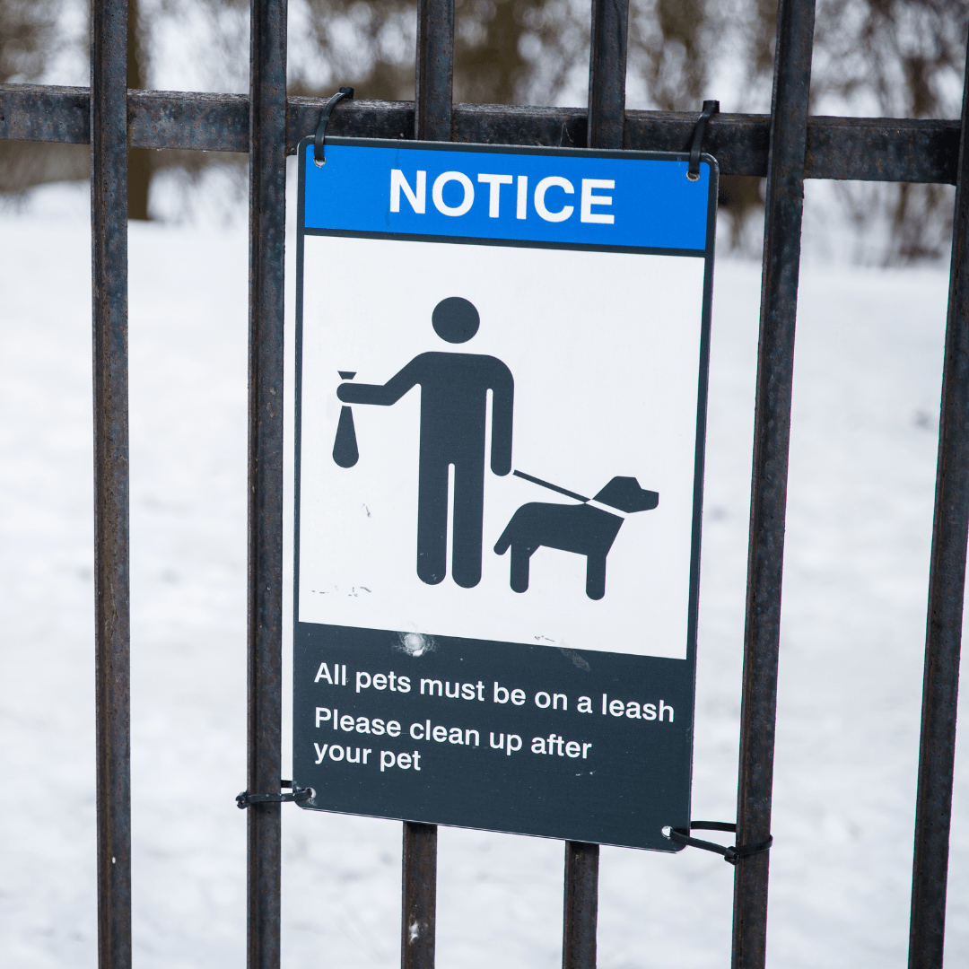 Is Not Picking Up Dog Poop Illegal?: Fines & Facts