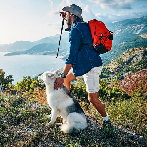 The 16 Best Hiking Gifts For Adventure Dogs - The Mandagies