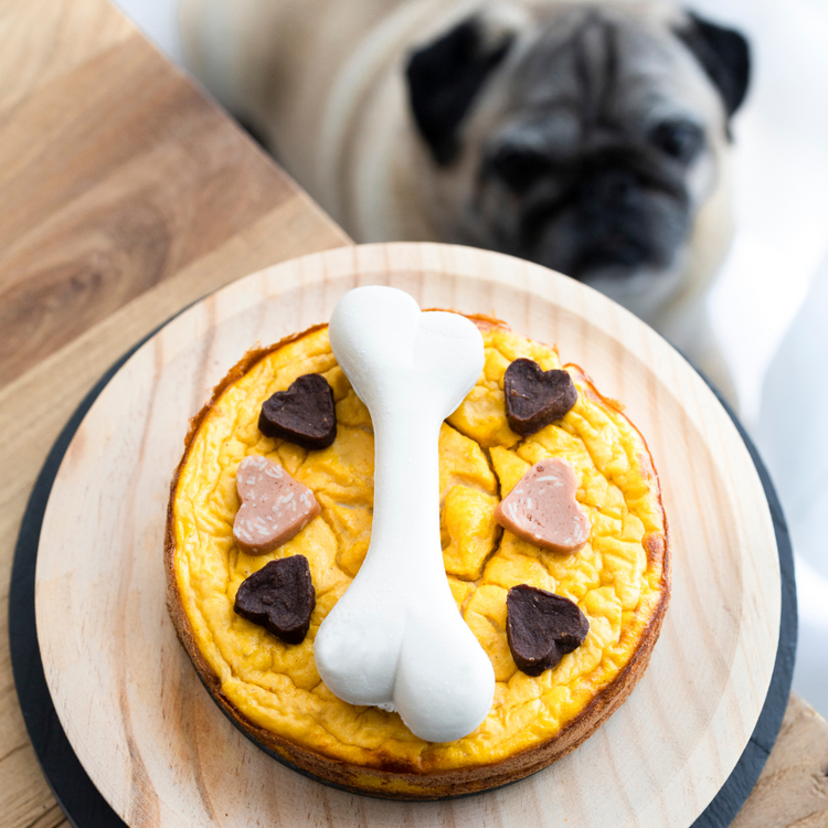 Vet-Approved Homemade Dog Food Recipes! – Get Set Pet