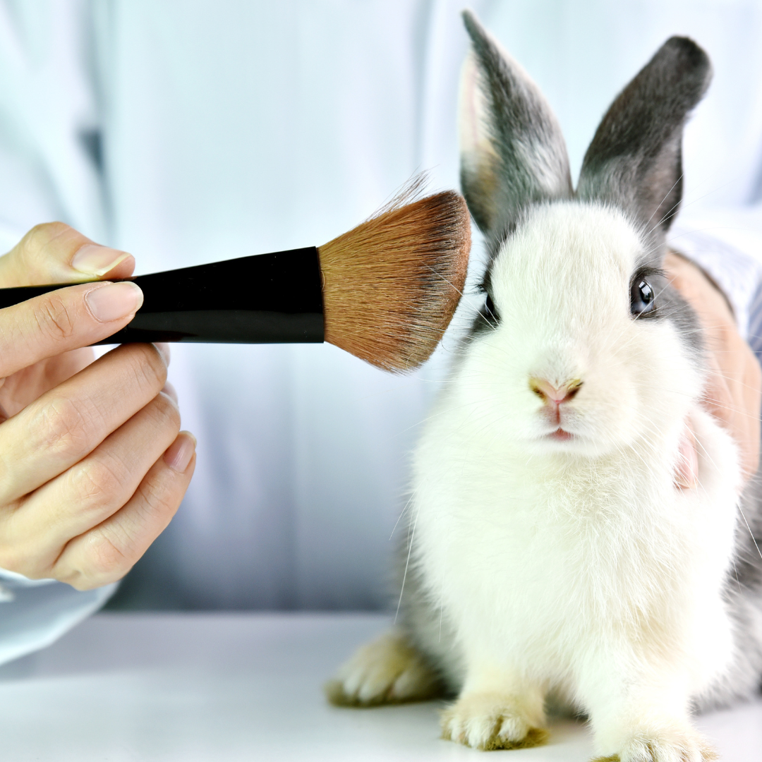 Animal Testing in Beauty Products