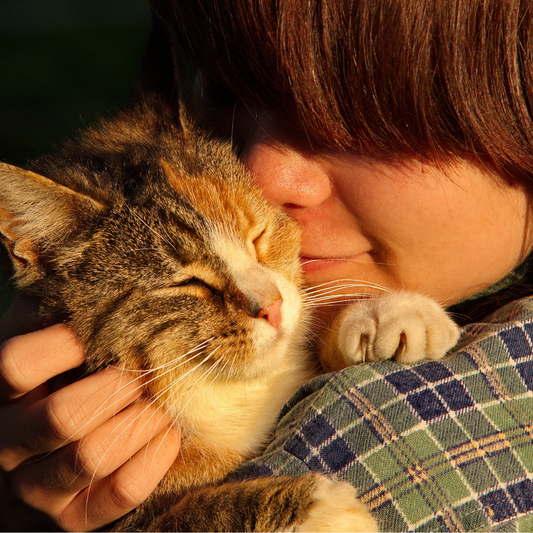 Mental Health Awareness Week: How Pets Boost Our Mental Health