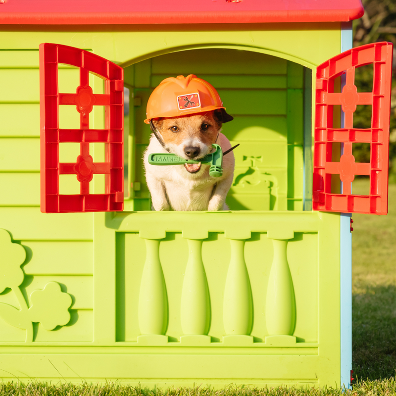 Dog playhouse 2024