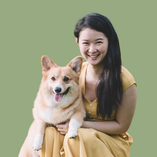 Health And Mood Boosting Benefits Of Dogs
