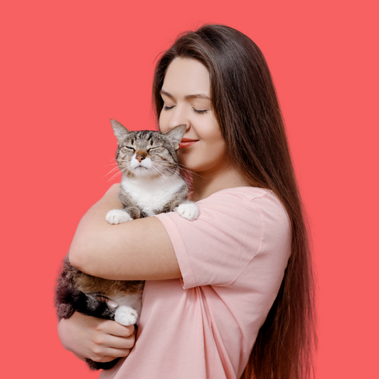 Health And Mood Boosting Benefits Of Cats