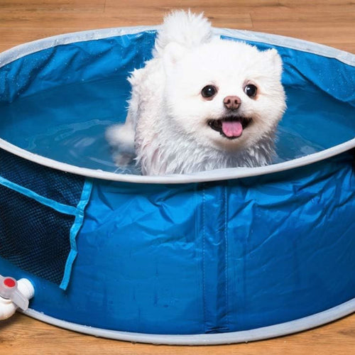 Coco Jojo Dog Splash Pool