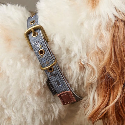 FatFace Marching Dogs Dog Collar