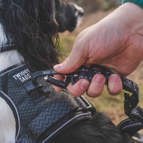 Twiggy Tags TrailFinder Multi-Way Dog Lead