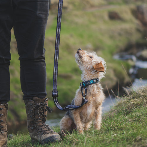 Twiggy Tags TrailFinder Multi-Way Dog Lead