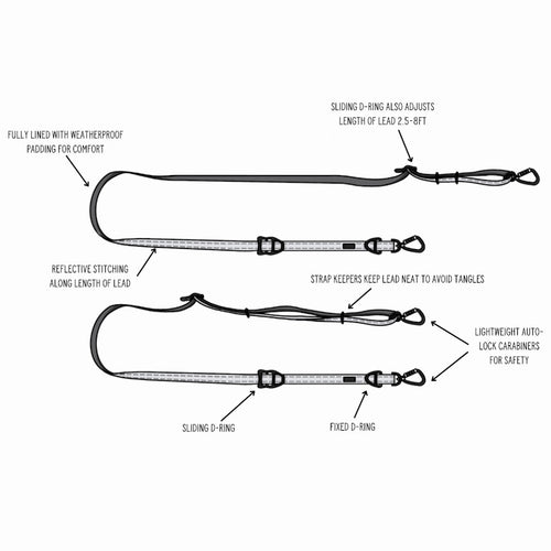 Twiggy Tags TrailFinder Multi-Way Dog Lead