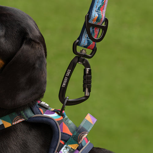 Twiggy Tags TrailFinder Multi-Way Dog Lead