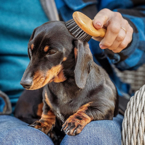 Mikki Bamboo Cat & Dog Grooming Bristle Brush