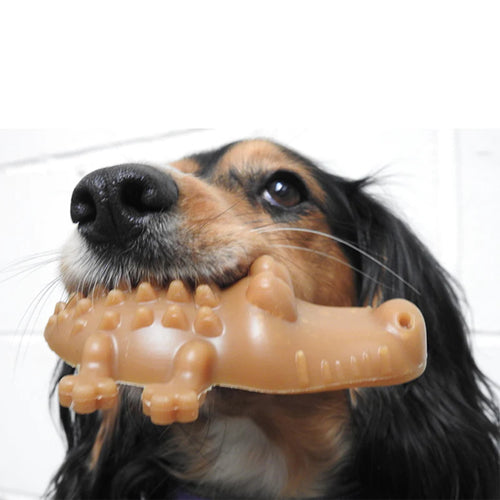 Miro & Makauri Mak's Patch Peanut Butter Crocodile Vegan Dog Treat
