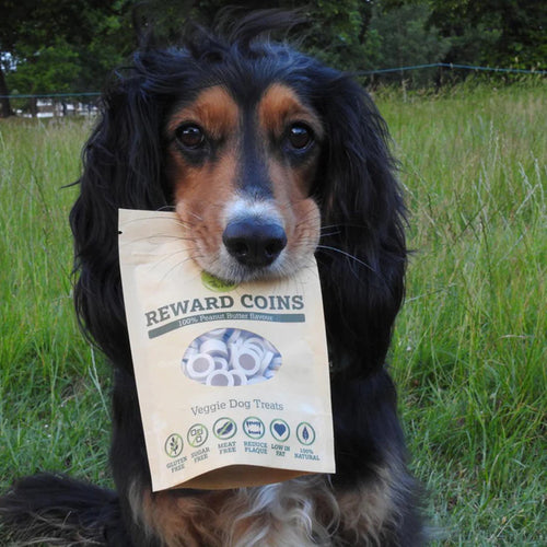 Miro & Makauri Mak's Patch Peanut Butter Reward Coins Vegan Dog Treats 100g