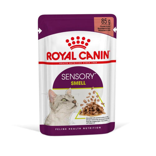 Royal Canin Feline Health Nutrition Sensory Smell Adult Cat Food in Gravy 12x85g - Get Set Pet