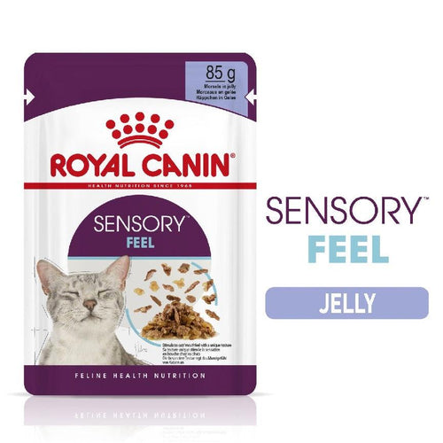Royal Canin Feline Health Nutrition Sensory Feel Adult Cat Food in Jelly 12x85g - Get Set Pet