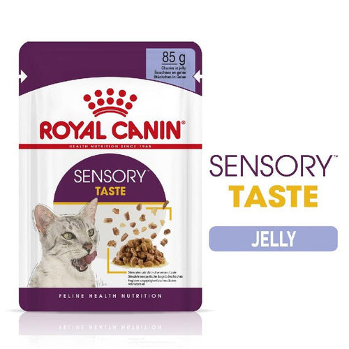 Royal Canin Feline Health Nutrition Sensory Taste Adult Cat Food in Jelly 12x85g - Get Set Pet