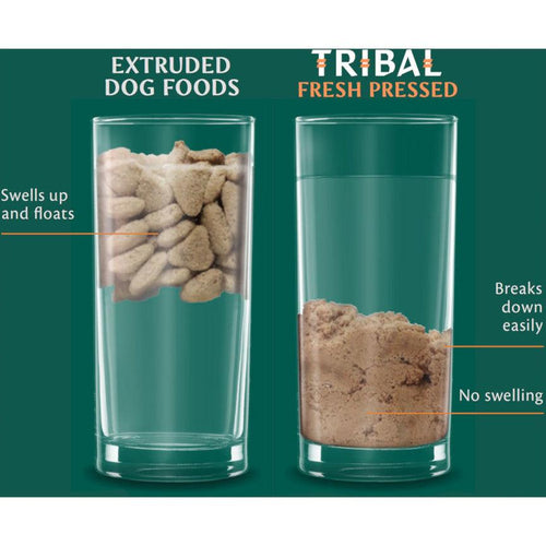 Tribal Fresh-Pressed Senior/Light Dog Food Turkey - Get Set Pet