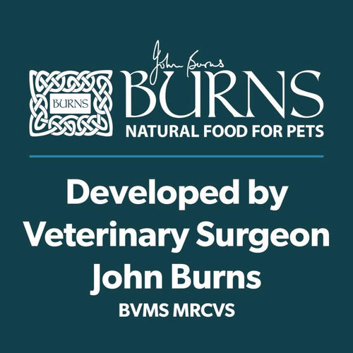 Burns Adult & Senior Wet Dog Food Trays Variety Box - Get Set Pet