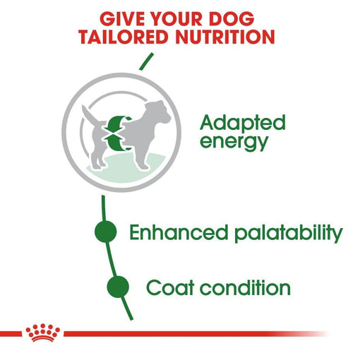 Royal Canin Size Health Nutrition Mini Adult Dog Food - Get Set Pet