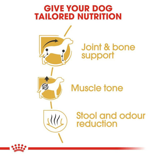 Royal Canin Breed Health Nutrition Dachshund Adult Dog Food 7.5kg - Get Set Pet