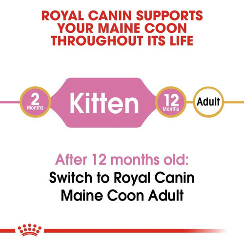 Royal Canin Feline Breed Nutrition Maine Coon Kitten Food 4kg - Get Set Pet