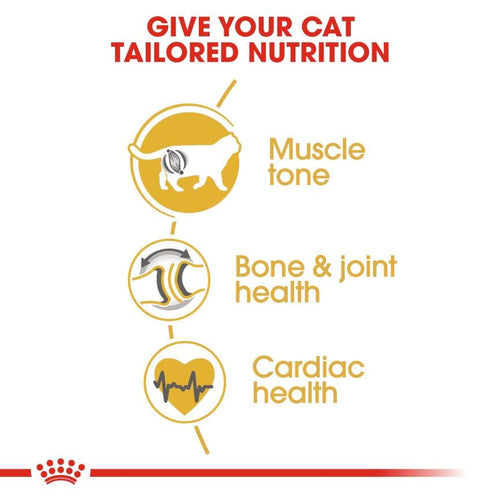 Royal Canin Feline Breed Nutrition British Shorthair Adult Cat Food 4kg - Get Set Pet