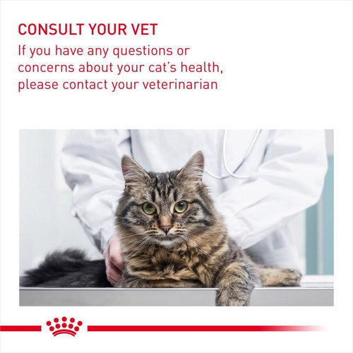 Royal Canin Feline Health Nutrition Oral Care 30 Adult Cat Food 3.5kg - Get Set Pet