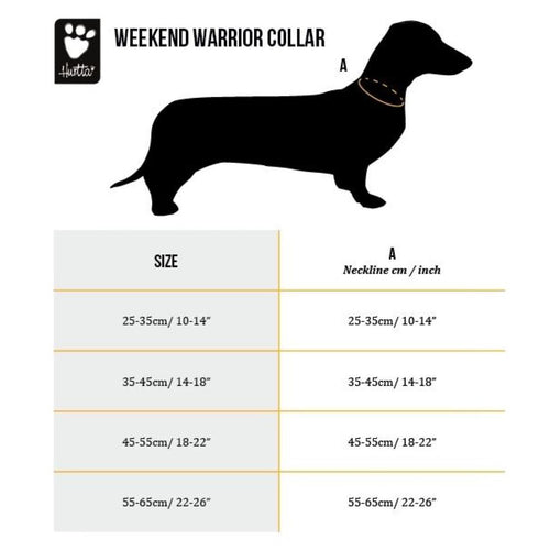 Hurtta Weekend Warrior ECO Collar - Get Set Pet