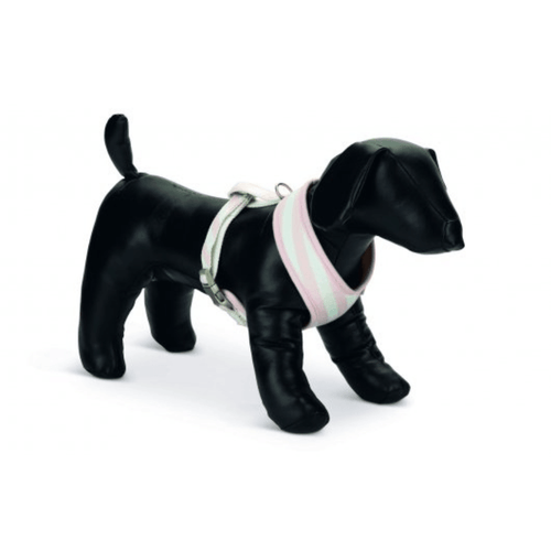 Beeztees Puppy Harness - Get Set Pet
