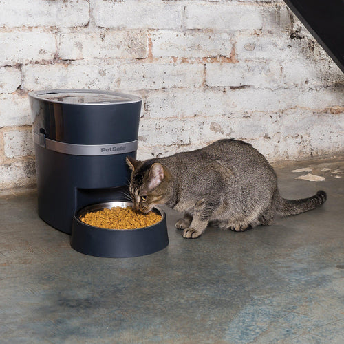 Petsafe Smart Feed Automatic Pet Feeder - Get Set Pet