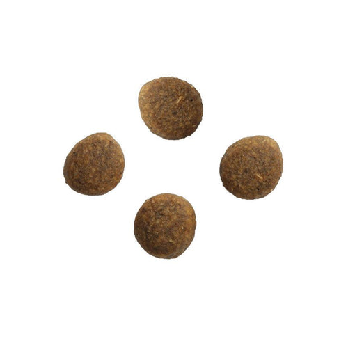 Crave Adult Dry Cat Food with Chicken & Beef 7kg - Get Set Pet