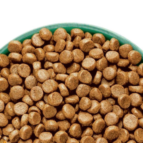 James Wellbeloved Dry Adult Cat Food High Protein Chicken & Turkey - Get Set Pet