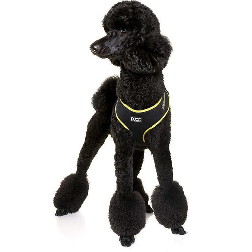 DOOG Neon Dog Harness Bolt - Get Set Pet