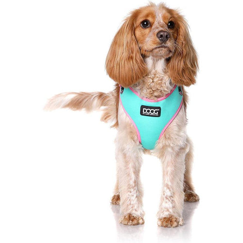 DOOG Neon Dog Harness Rin Tin Tin - Get Set Pet