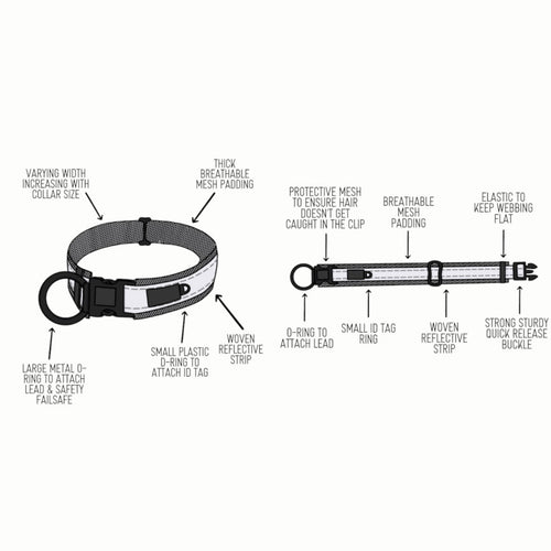Twiggy Tags Adventure Dog Collar
