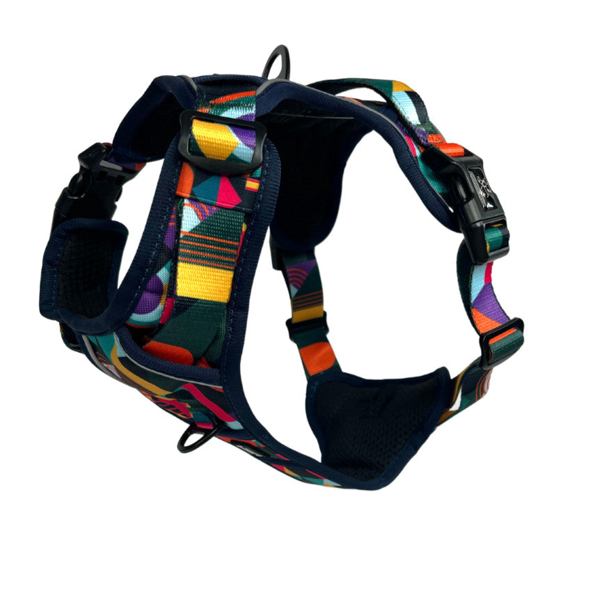 Dog tag on on sale harness