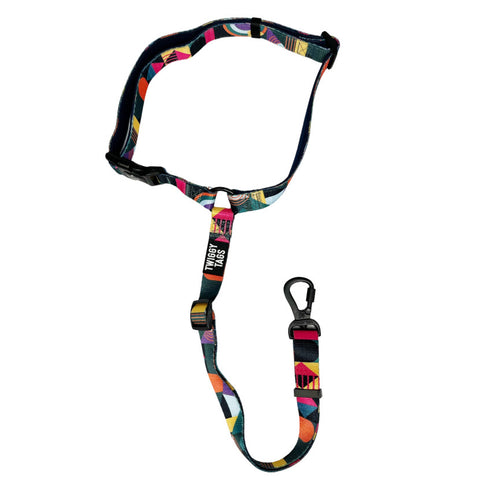 Twiggy Tags Adventure Dog Seatbelt
