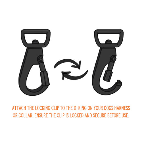 Twiggy Tags Adventure Dog Seatbelt