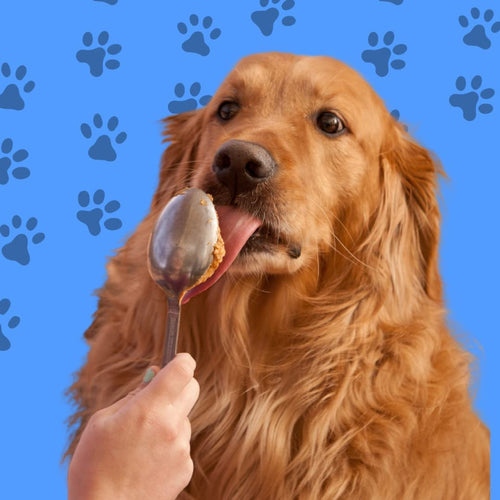 Peamutt Peanut Butter for Dogs
