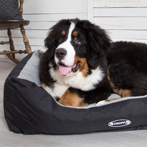 Scruffs Expedition Dog Box Bed - Get Set Pet