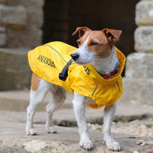 My Anxious Dog Space Awareness Rain Coat - Get Set Pet