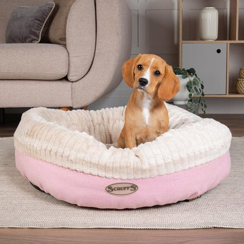 Scruffs Ellen Donut Dog Bed - Get Set Pet