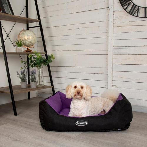 Scruffs Expedition Dog Box Bed - Get Set Pet