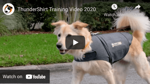 Thundershirt Dog Anxiety Shirt - Get Set Pet