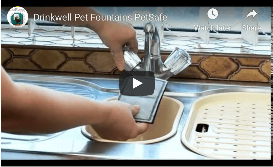 Petsafe sales drinkwell original