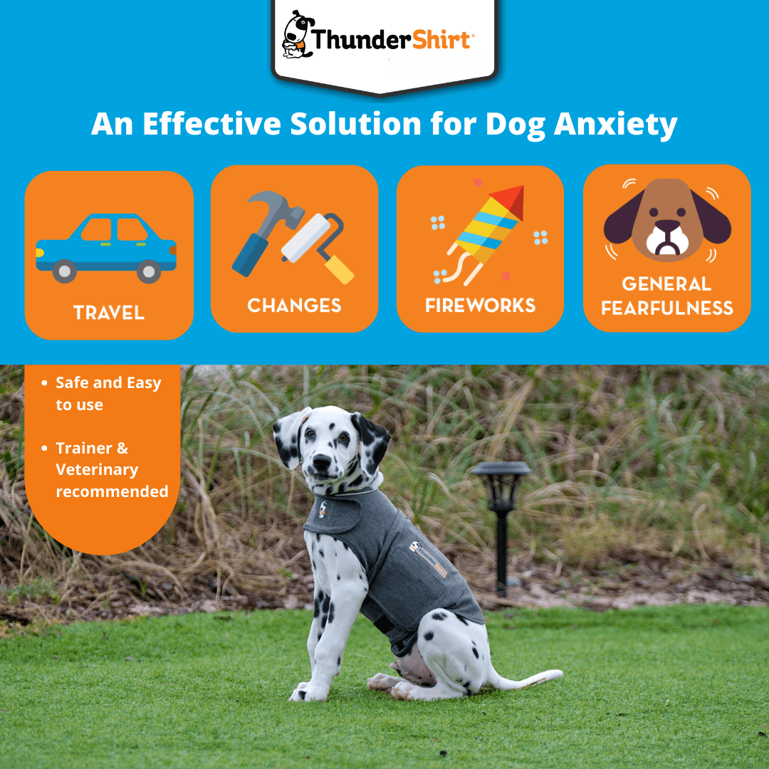 Petco thunder jacket sales