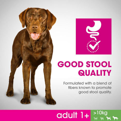 Perfect Fit Medium and Large Breed Adult 1+ Dry Dog Food Chicken - Get Set Pet